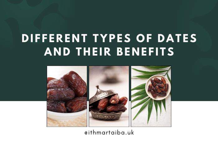 Different Types of Dates and Their Benefits